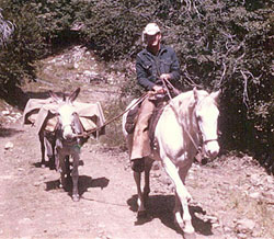 Will riding burro